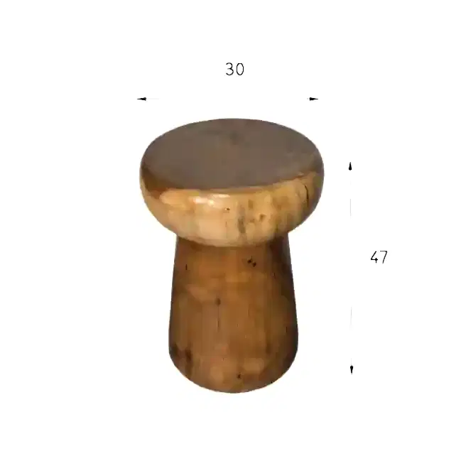 Resim MANTAR SUAR TABURE - SEHPA