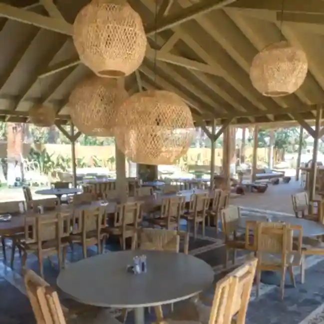 Resim BEIJING BALL L AVİZE