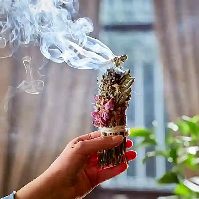 Resim ŞÜKRAN TÜTSÜSÜ