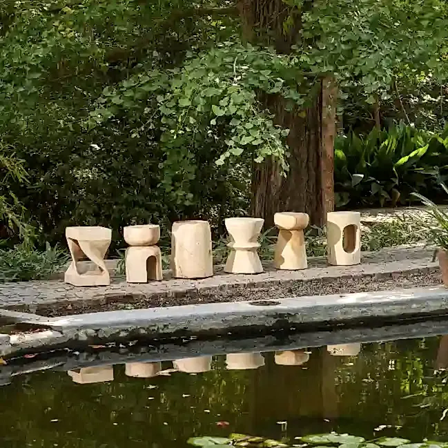 Resim ARIZONA TABURE